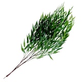 thumbnail of Saule pleureur artificiel premium 300 cm vert