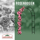 thumbnail of Rosenbogen 240x140x37cm mit Stecksystem