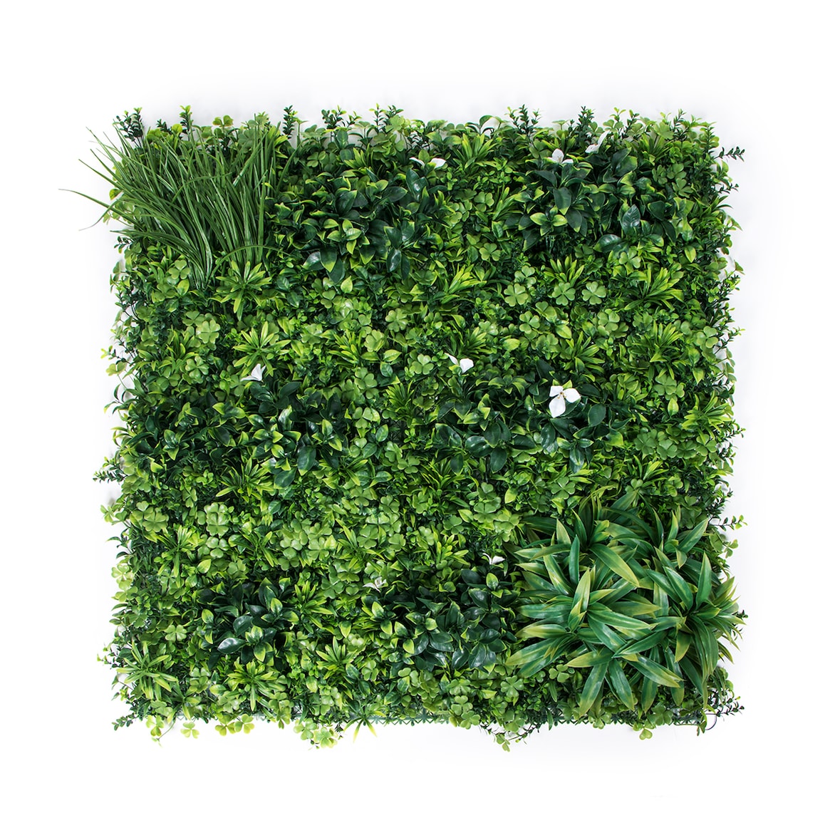Pliego Jardin Vertical Forest 100 X 100
