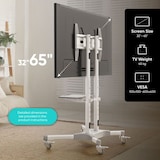 thumbnail of ONKRON Soporte TV Blanco con Altura Regulable para pantallas de 32 a 65", hasta 45 kg, VESA 100x100 a 600x400 mm, con ruedas, modelo TS1351-W Blanco