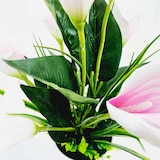 thumbnail of Pianta artificiale Calla cm 30, bianca