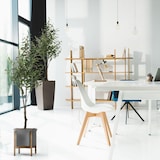 thumbnail of Kunstpflanze / Kunstbaum OLIVE Kunststoff grün 120 cm hjh OFFICE