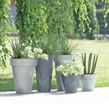 thumbnail of Prosperplast - Maceta CUBE BETON EFFECT 0,6L - 11x11x9,7cm en color Crema