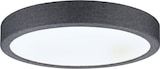 thumbnail of Paulmann LED Panel Cosara  IP44 rund 300mm  15W 1300lm 4000K Dunkelgrau  71055