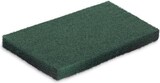 thumbnail of Super-Handpad Floorida - grün - 235x155 mm - rechteckig - 50 Pads Grundreinigung