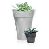 thumbnail of Prosperplast - Maceta CUBE BETON EFFECT 0,6L - 11x11x9,7cm en color Crema