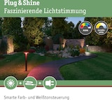 Beleuchtete Gartenwege mit farbigen Lichtern.