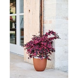 thumbnail of TERA eleganter OVER Blumentopf, Polyethylen-Pflanzgefäß für drinnen/draußen, 5mm Dicke, raue Oberfläche, Wasservorrat, Durchmesser 38cm, schwarz