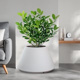 thumbnail of Vaso in resina da esterno interno per piante tondo conico design d.60x35h Stromboli Bianco