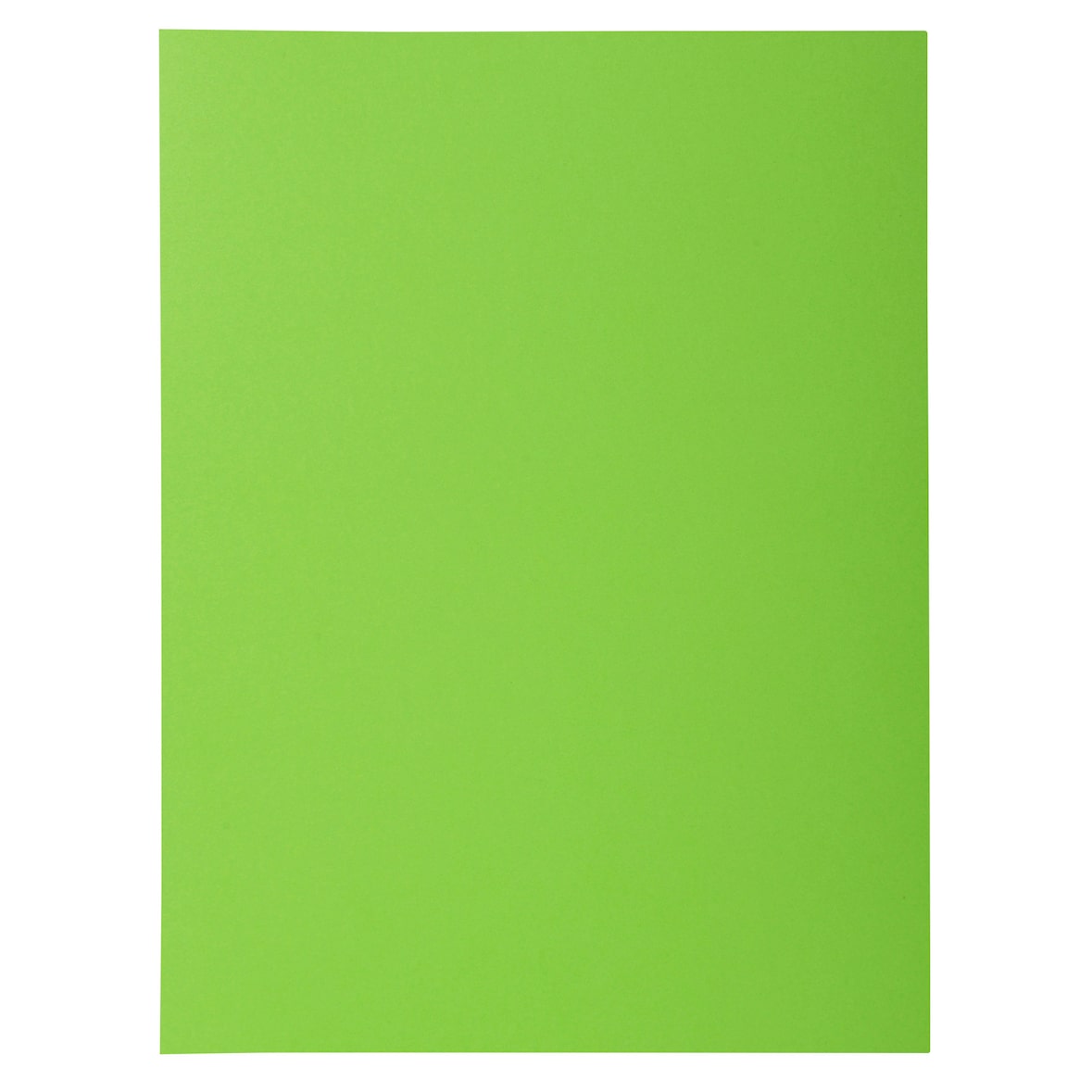 Exacompta - Réf. 218013E - Carton de 250 chemises rigides avec 1 rabat ROCK''S 210 g/m² - dim 24 x 32 cm pour documents format A4 - vert
