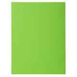 thumbnail of Exacompta - Réf. 218013E - Carton de 250 chemises rigides avec 1 rabat ROCK''S 210 g/m² - dim 24 x 32 cm pour documents format A4 - vert