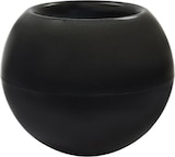 thumbnail of WellHome - Blumentopf Modell "Omega Collection", Ø48x42cm, Farbe Anthrazit