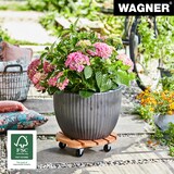 thumbnail of WAGNER Pflanzenroller TOSCANA Ø 38 x 10,5 cm, innen & außen, Holz geriffelt, terracotta, max. 150 kg, EU Ware - 20016301