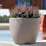 thumbnail of WellHome - Blumentopf Modell "Ordesa Collection" Ø40cm Zementfarbe