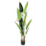 thumbnail of Ave Del Paraiso Flor 185 Cm