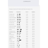 thumbnail of Salvinelli Cambridge, set 12 cucchiaino bibita acciaio inox 18/10