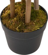thumbnail of Künstlicher Bambusbaum "Twiggy" mit Topf 90 cm : Farbe - Grün