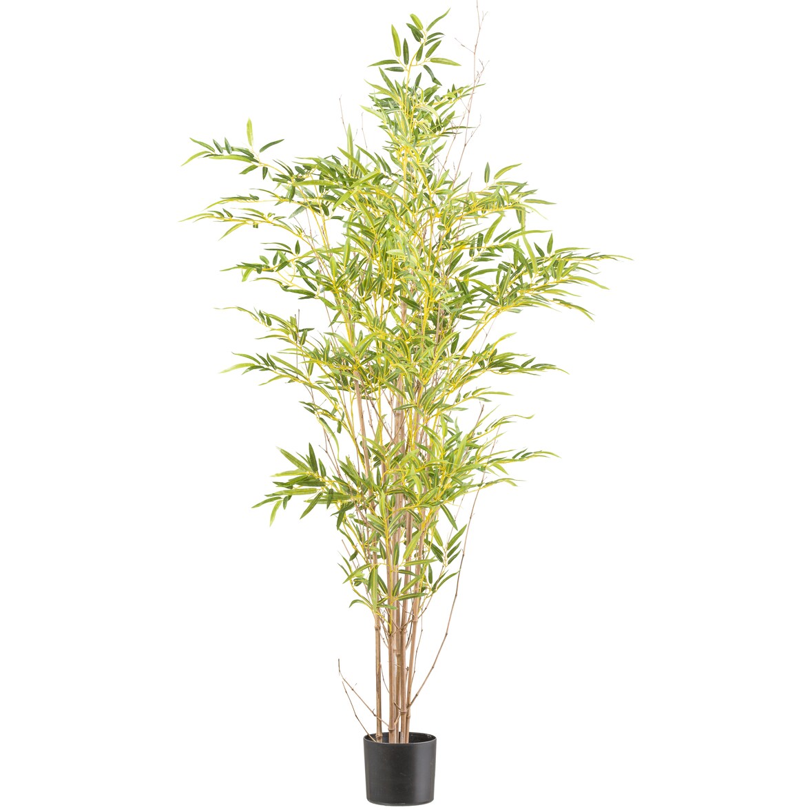 CREATIV green künstliche Pflanze Miniblatt-Bambus, ca 150cm