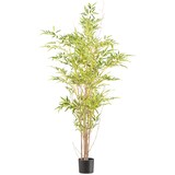 thumbnail of CREATIV green künstliche Pflanze Miniblatt-Bambus, ca 150cm