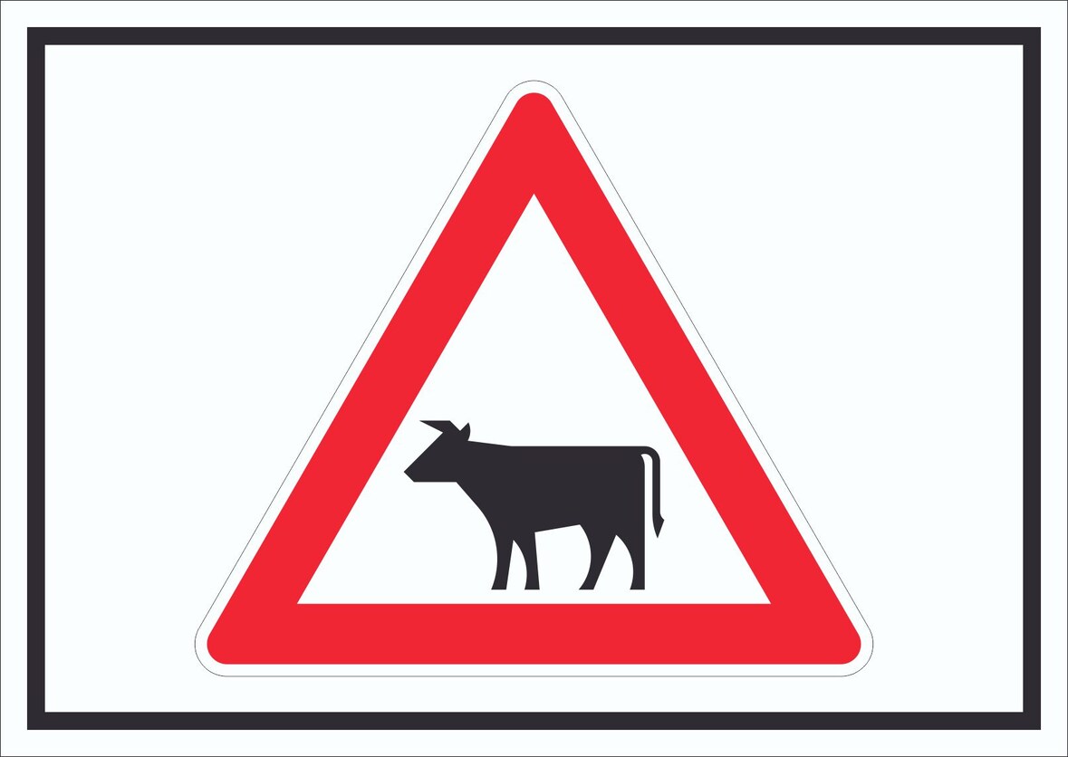 Schild Achtung Viehbetrieb Tiere Symbole A4 Rückseite selbstklebend