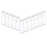 thumbnail of 12er Set Weithalsflasche Karaffe 250 ml + To 53 Deckel silber