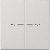 thumbnail of Jung Wippe Symbole/Lichtl.lgr LS 995 KO5P LG LS995KO5PLG