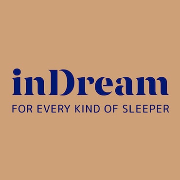 InDream 